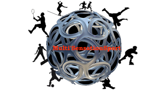 Logo Multi`SensationSport